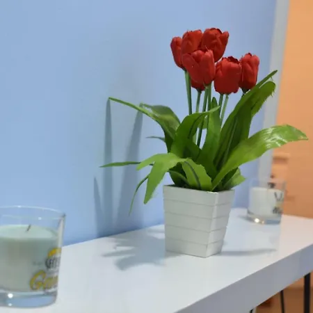 Apto. Sanxenxo-playa شقة سانكسينكسو